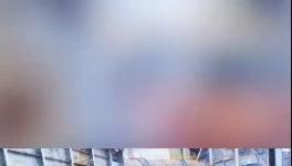 殺公雞！開窯！水泥廠“辟邪”！