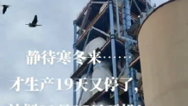 全停！最長(zhǎng)200天！20個(gè)省水泥廠停產(chǎn)！