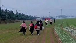 反撲！多省工地停工！水泥廠停發(fā)！商混站“告急”！