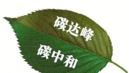 縫出匠心！這家環(huán)保企業(yè)脫穎而出！市場占有率名列前茅！