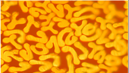 對比明顯，這個材料完勝！最長可用8年，節約電費百萬！