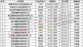 瘋狂！“上下”通吃！海螺連續(xù)成立50多家公司！