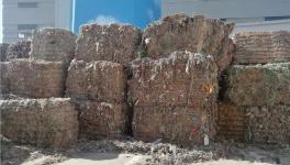 創(chuàng)收40萬(wàn)/天！替代燃料降本火了！