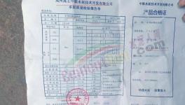 不合格率達33.3%！這一地區(qū)瘦身、高仿等水泥橫行!