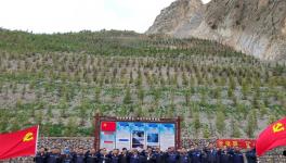 昌都高爭開展“黨旗飄，礦山綠”主題活動